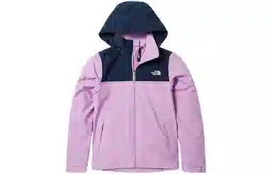 THE NORTH FACE Logo