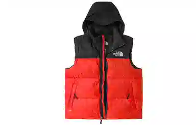 THE NORTH FACE 1996 Icon Nuptse