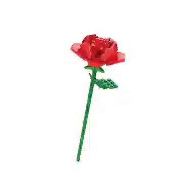 T 20pcs T-26317