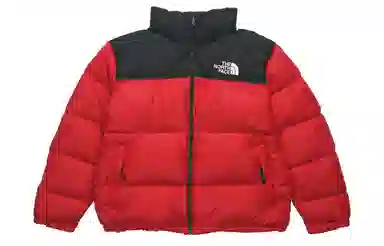 The North Face 700 Fill Down Jacket