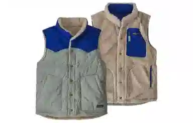 patagonia Reversible Bivy Down Vest
