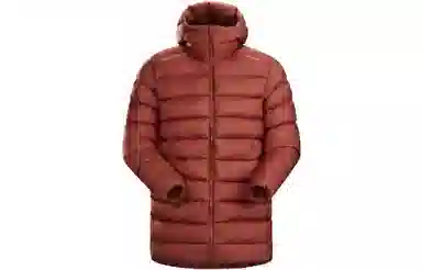 Arcteryx Piedmont Coat