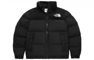 THE NORTH FACE Tech Pack Air Logo