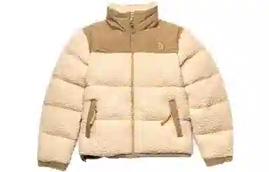 THE NORTH FACE Logo