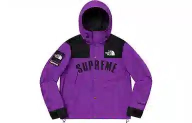 Supreme x The North Face SS19 Jacket Purple