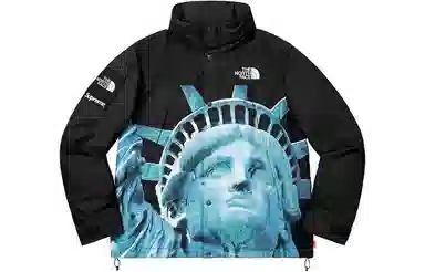 Supreme x The North Face Statue of Liberty Mountain Jacket Black