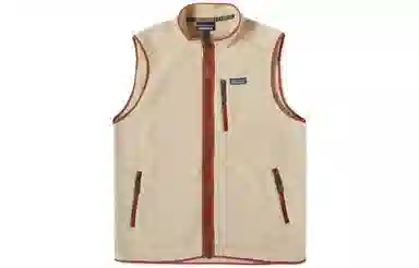 Patagonia Retro Fleece Vest