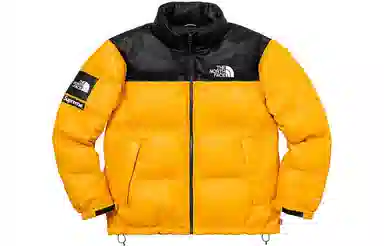 Supreme x The North Face FW17