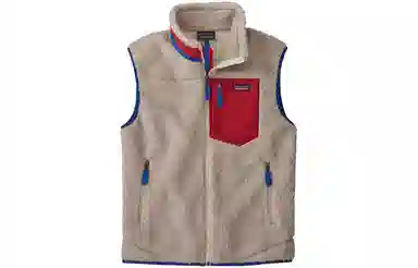 patagonia Classic Retro-X
