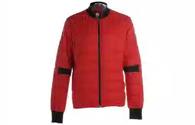 Canada Goose