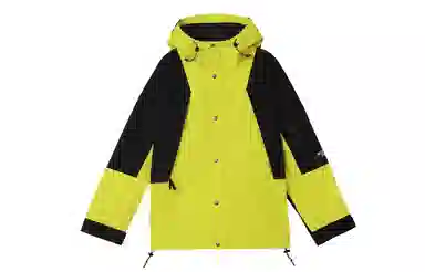 The North Face 1994 Mountain Light Jacket