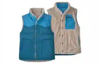patagonia Reversible Bivy Down Vest