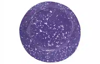 肯默 纯棉渔夫帽 抽象潮流印花 防晒遮阳帽 男女同款 黑色/白色/紫色