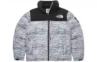 The North Face Novelty Nuptse Silver
