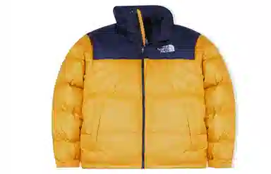 THE NORTH FACE 1996 Retro Nuptse 700
