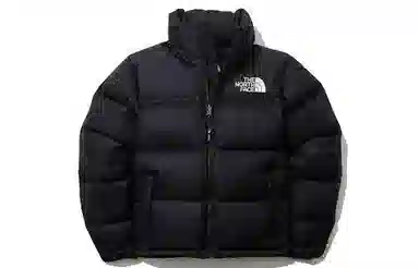 The North Face 1996 Nuptse Eco Hoodie