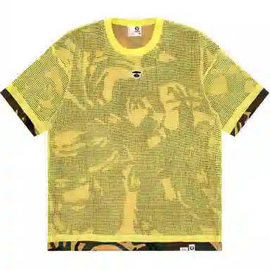 Aape T