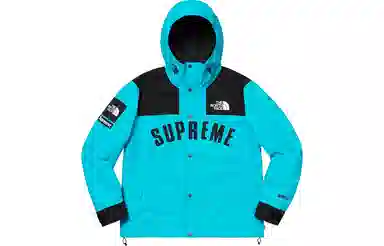 Supreme x The North Face SS19 Jacket Blue