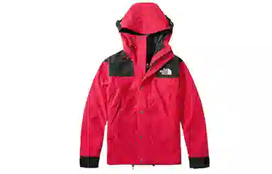 THE NORTH FACE 1990 Mountain Jacket