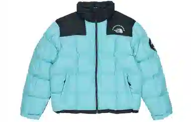THE NORTH FACE logo