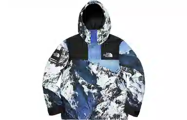 Supreme x The North Face Mountain Parka Blue