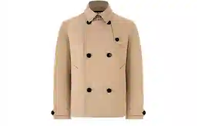 Bosideng Classic Double-Breasted Down Coat