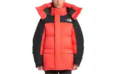 THE NORTH FACE SS22