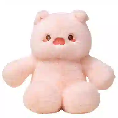 50cm