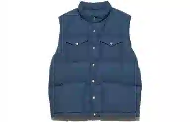 THE NORTH FACE PURPLE LABEL