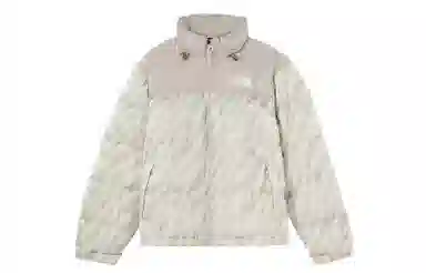 The North Face 1996 Retro Nuptse Silver Grey White