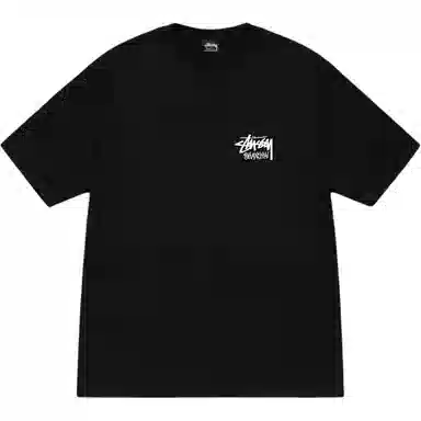Stussy SS25 logoT