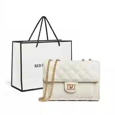 红蜻蜓 经典复古潮流时尚小众简约高级感通勤百搭菱格大容量 牛皮真皮 链条小方包斜挎单肩包 常规 女款 黑色/白色