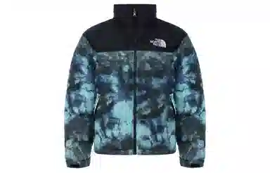 THE NORTH FACE 1996 Retro Nuptse Logo