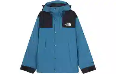 THE NORTH FACE GTX MOUNTAIN JACKET 10Logo