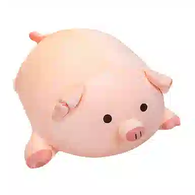 OU DI PIG 40cm50cm60cm80cm100cm