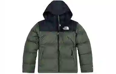 THE NORTH FACE FW22 1996 Retro Nuptse Jacekt 700