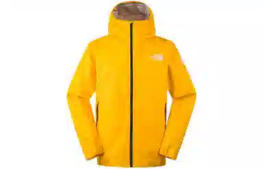 THE NORTH FACE Papsura Logo