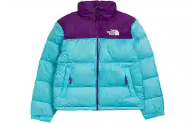 THE NORTH FACE 1996 Retro Nuptse 700