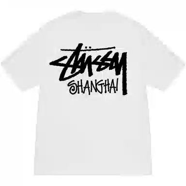 Stussy SS25 logoT