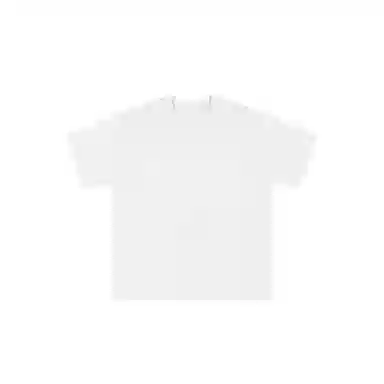FEAROM T