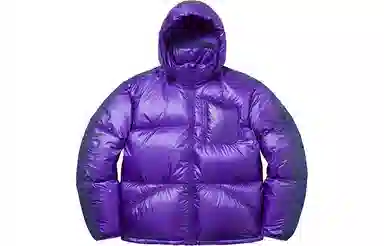 Supreme Featherweight Down Jacket