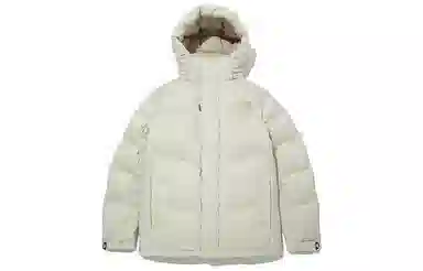 The North Face Dryvent Down Jacket