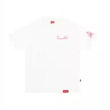 FOASIS T