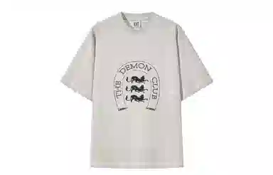 BLINDNOPLAN T