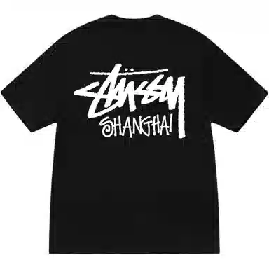 Stussy SS25 logoT