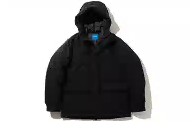 beams Dermizax (R) Down blouson