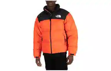 THE NORTH FACE FW22 1996 Nuptse Logo700