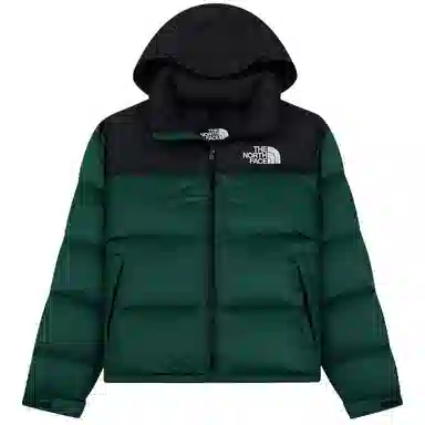 The North Face 700 Down Jacket