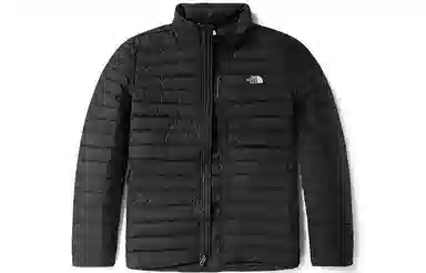 The North Face 700 Stand Collar Down Jacket
