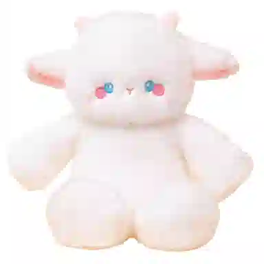 50cm